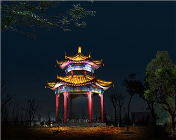 涇河工業園春節街道節日亮化